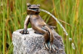 Wasserspiel SET Bronzefigur Froschkönig Heinrich auf Granitsäule Gartenbrunnen