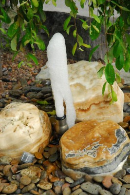 Springbrunnen Technik-Set 1 Oase Schaumsprudler Düse mit Pumpe und Einbaubecken