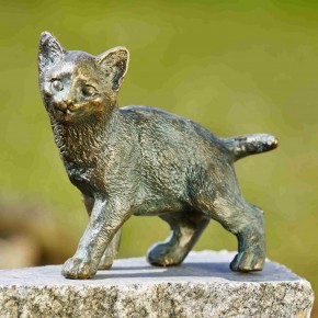 Bronzefigur Junge Katze Lilly 16cm Bronze Skulptur Rottenecker
