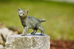 Bronzefigur Junge Katze Lilly 16cm Bronze Skulptur Rottenecker