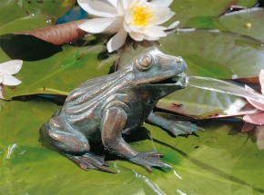 Bronzefigur Frosch 11cm Bronze Teichfigur Wasserspeier von Rottenecker