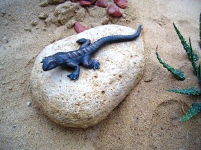 Bronzefigur Eidechse L14cm Gartenfigur Bronze Skulptur Rottenecker