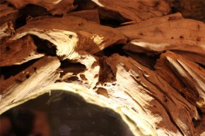 Spiegel Extreme Wood 90cm 'Riverdale' Treibholz Teakholz Vintage Landhaus