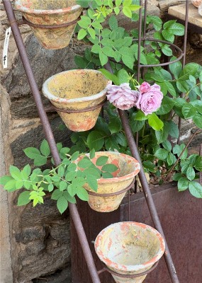 Kräuterleiter mit 5 Topfhalter (ohne Töpfe) Topfleiter Eisen Edelrost