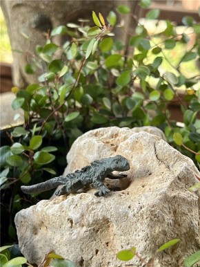 Bronzefigur Gecko klein L7cm auf Mondstein Rottenecker Bronze Skulptur