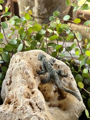 Bronzefigur Gecko klein L7cm auf Mondstein Rottenecker Bronze Skulptur